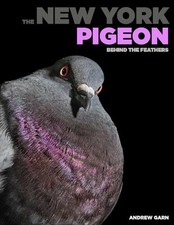 New York Pigeon, The ; Behind the Fea..., McMahon, Rita