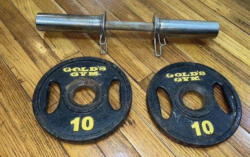 Pair 10lb gold gym - 10lb, gold's