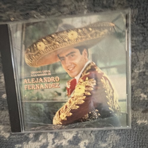 Alejandro fernandez grandes - fernandez,