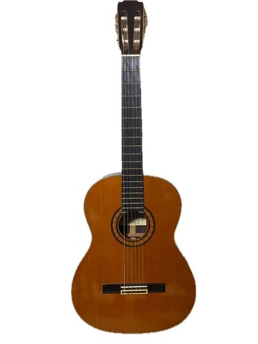 Takamine aranjuez 5 - takamine,