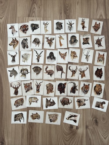 Cigarette cards series - cigarette, 2