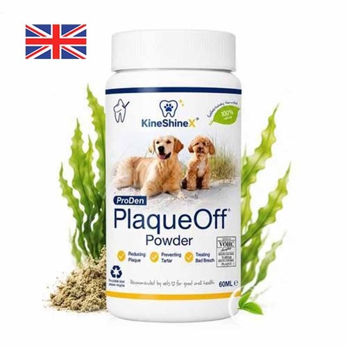 Dental plaqueoff powder for - plaqueoff,