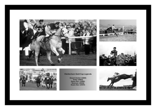 Cheltenham gold cup horse - cup,