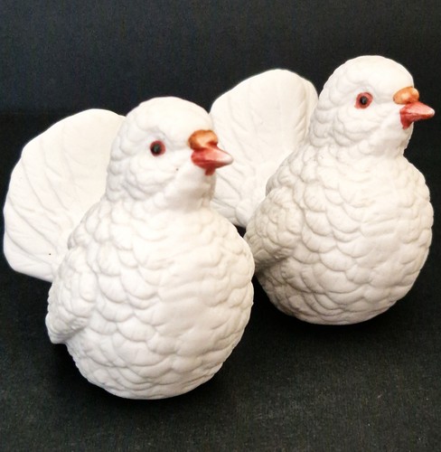 Vintage white dove - white,