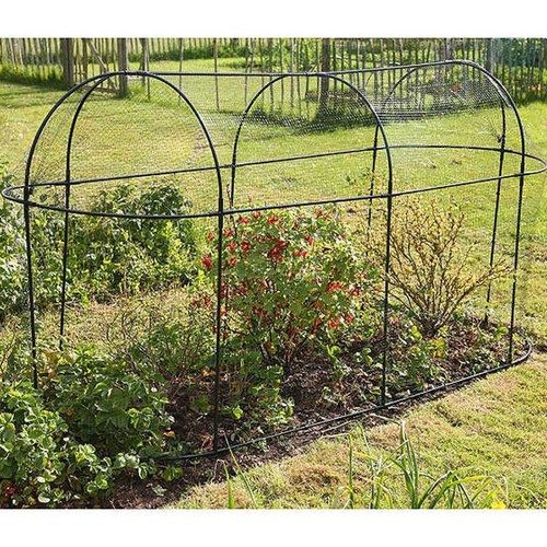 Haxnicks steel long fruit - steel,