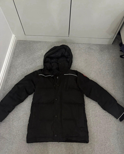 Canada goose arctic program - goose,