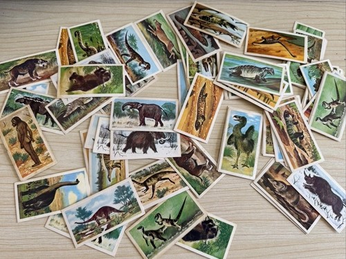 Brooke bond tea card - brooke,
