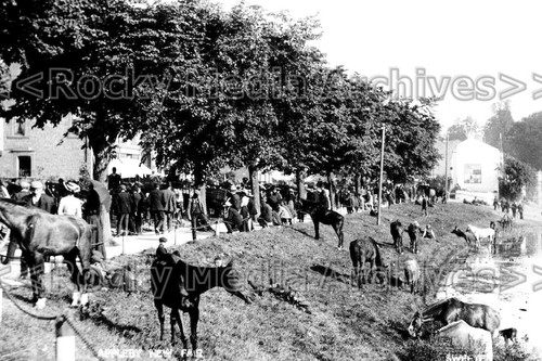 Tnb appleby new fair - appleby,