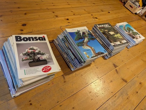 121 bonsai magazines job lot - 121,