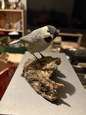 Vintage Black-capped Chickadee