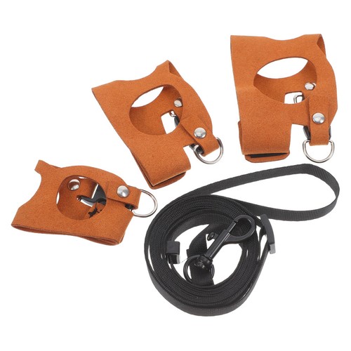 Outdoor reptile harness - reptile, set