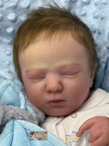 Pbn bargain reborn - bargain***,