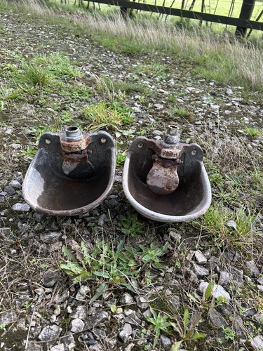Cattle water bowl - water,