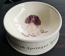 English Springer Spaniel Best