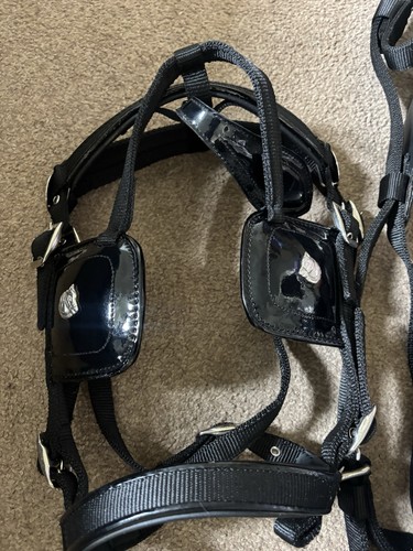 Leather and webbing - and,