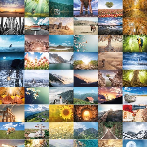 Postcards nature - –,