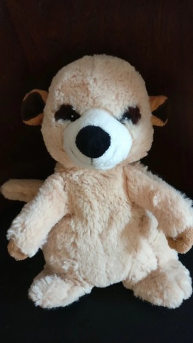 Senza meerkat hottie - senza,
