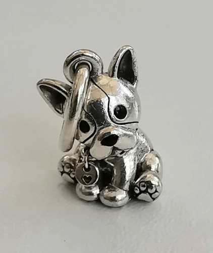 Pandora french bulldog dog - pandora,