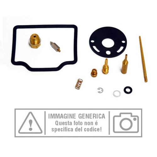 Carburetor overhaul kit - overhaul,