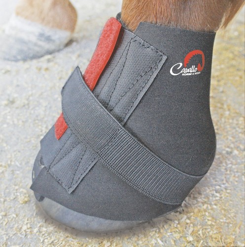 Cavallo pastern wraps - cavallo,