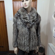 Beautiful genuine Silver Fox