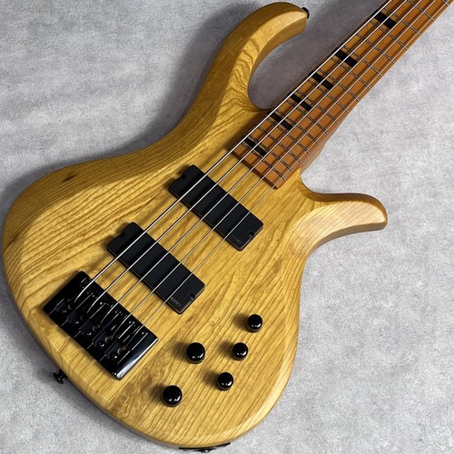 Schecter riot session - schecter,