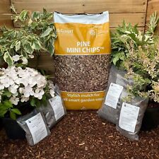Melcourt Bark Pine Mini Chips