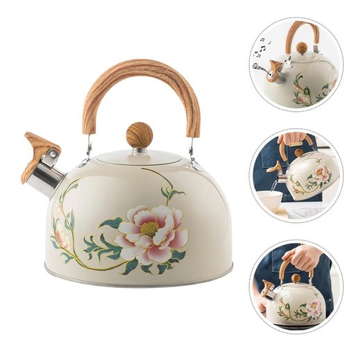 Whistling kettle teapot - whistling,