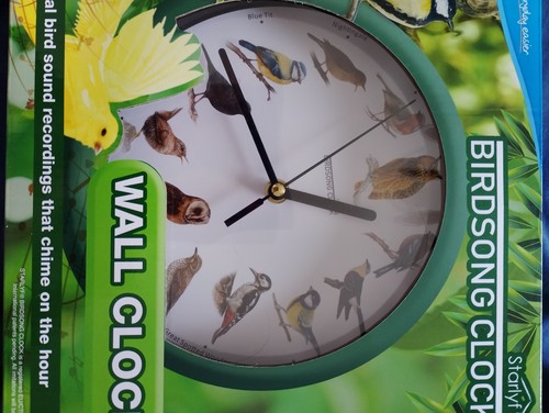 Singing bird analogue wall - singing,