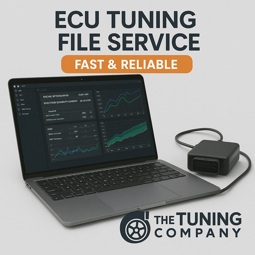Custom ecu remap file service - ecu,