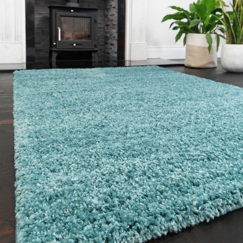 Living room area - living, rugs