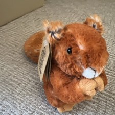 Carte Blanch All Creatures