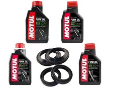 Motul oil - oil, dust