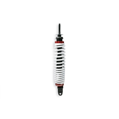 Rear shock absorber - rear,