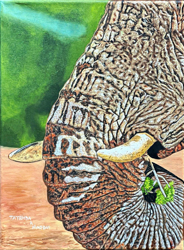 Elephant