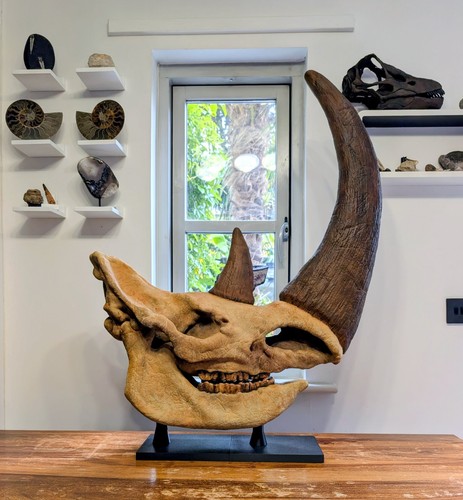 Huge woolly rhino - rhino, dinosaur