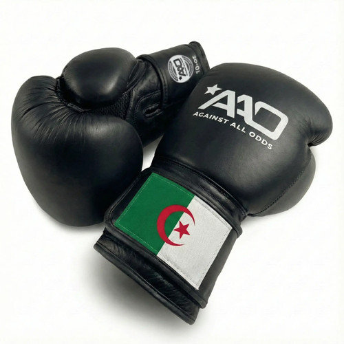 Algeria boxing gloves - |, aao