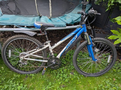 Girls apollo xc24 mountain - apollo,
