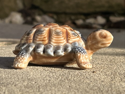 Wade the tortoise family 1960s - the,