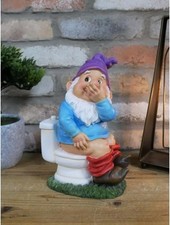 Garden Gnome on Toilet