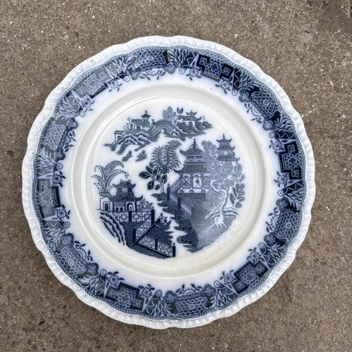 Blue and white pountney - blue,