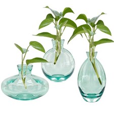 3x Glass Vases for Indoor Plants Aquatic Culture Vases Bud Vase for Mom Kids
