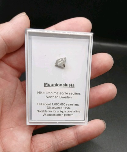 Muonionalusta meteorite slice
