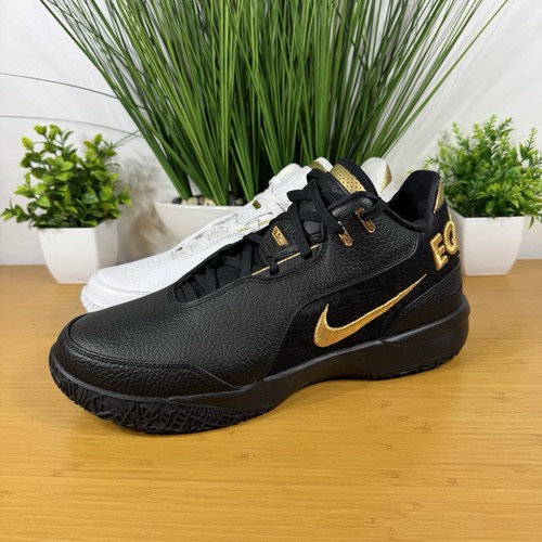 Nike zoom lebron - gen, ampd