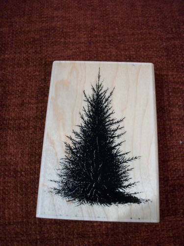 New penny black pine - ,