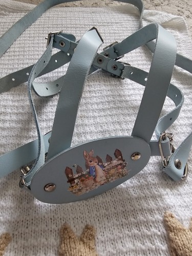 Baby blue leather - baby, reins