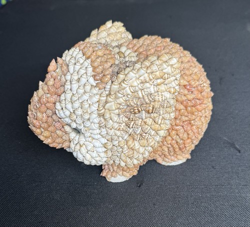 Vintage handmade sea shell - vintage,