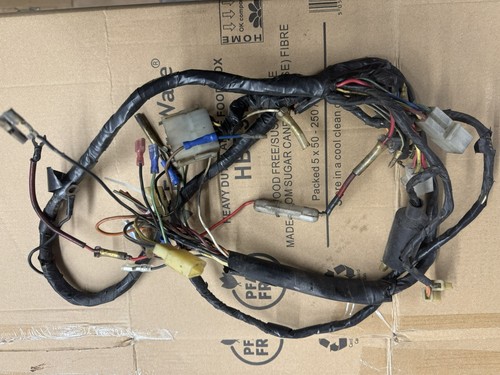 Suzuki gt250 wiring harness - x7,