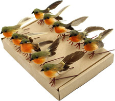Cute 10PCS Robin Bird