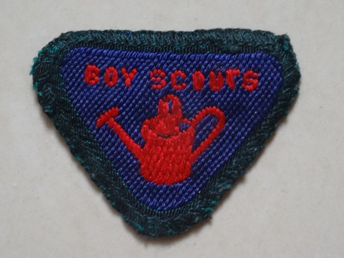 Boy scouts wolf cub - boy,